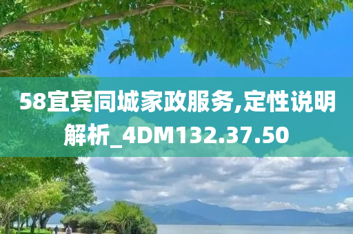 58宜宾同城家政服务,定性说明解析_4DM132.37.50