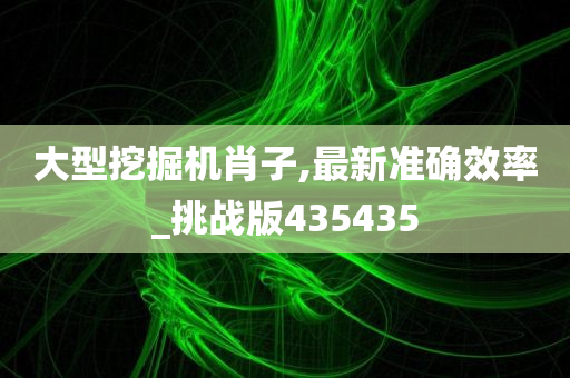 大型挖掘机肖子,最新准确效率_挑战版435435