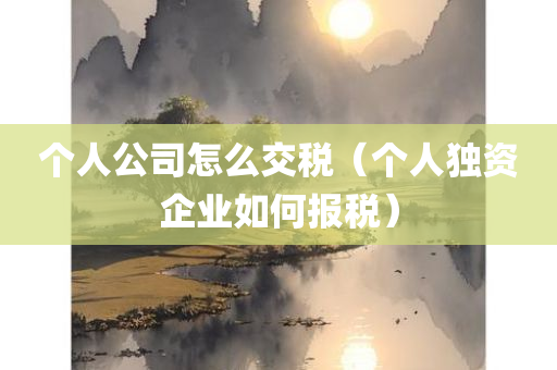 个人公司怎么交税（个人独资企业如何报税）