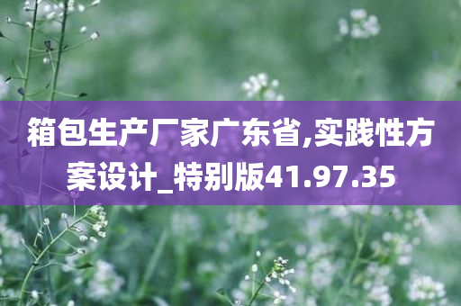 箱包生产厂家广东省,实践性方案设计_特别版41.97.35