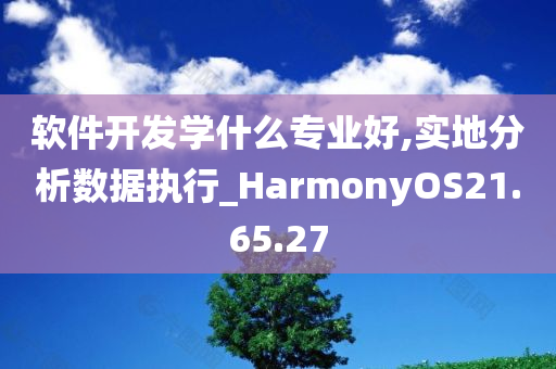 软件开发学什么专业好,实地分析数据执行_HarmonyOS21.65.27