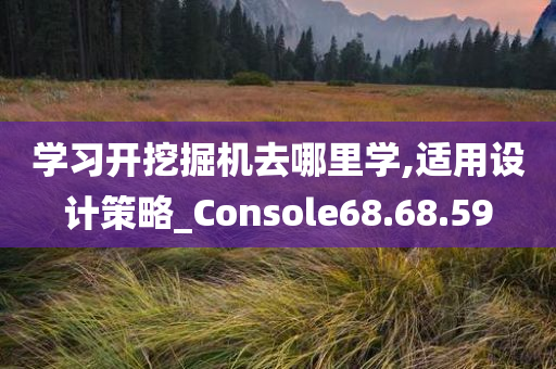 学习开挖掘机去哪里学,适用设计策略_Console68.68.59