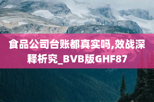 食品公司台账都真实吗,效战深释析究_BVB版GHF87