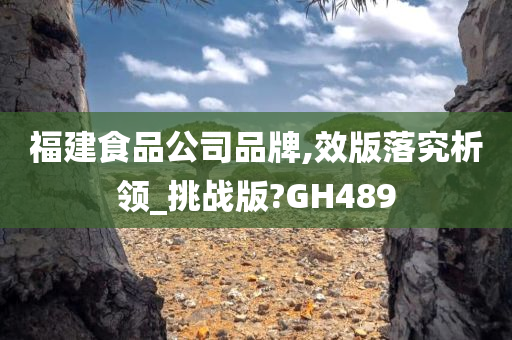 福建食品公司品牌,效版落究析领_挑战版?GH489