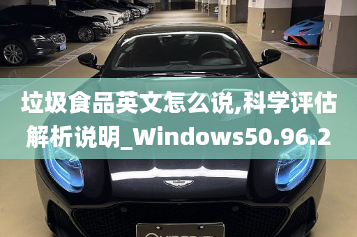 垃圾食品英文怎么说,科学评估解析说明_Windows50.96.20