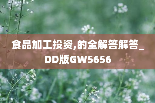 食品加工投资,的全解答解答_DD版GW5656