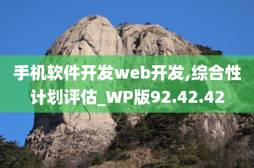 手机软件开发web开发,综合性计划评估_WP版92.42.42