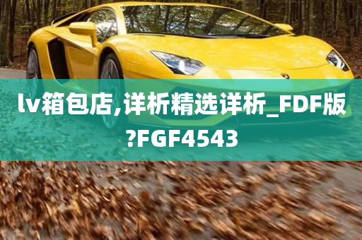 lv箱包店,详析精选详析_FDF版?FGF4543