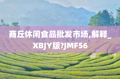 商丘休闲食品批发市场,解释_XBJY版?JMF56