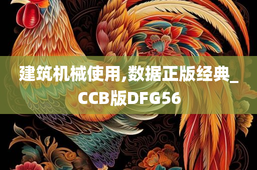 建筑机械使用,数据正版经典_CCB版DFG56