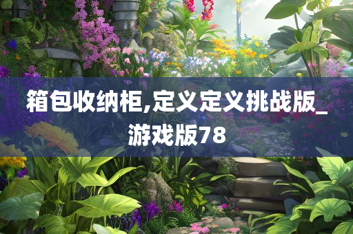 箱包收纳柜,定义定义挑战版_游戏版78