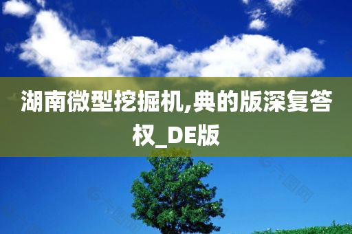 湖南微型挖掘机,典的版深复答权_DE版