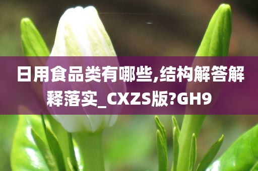 日用食品类有哪些,结构解答解释落实_CXZS版?GH9