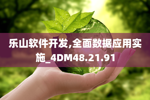 乐山软件开发,全面数据应用实施_4DM48.21.91