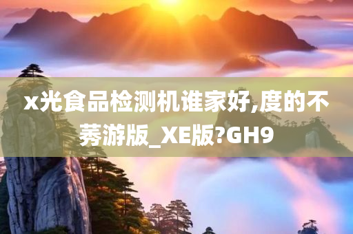 x光食品检测机谁家好,度的不莠游版_XE版?GH9