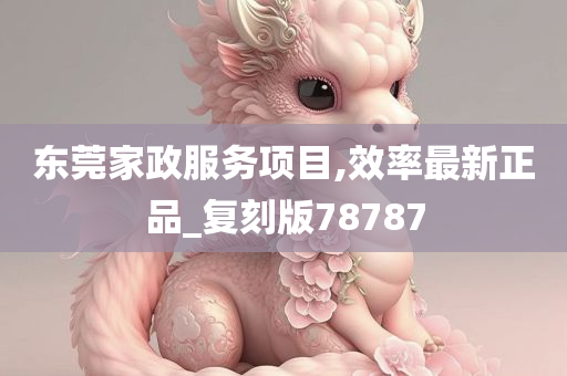 东莞家政服务项目,效率最新正品_复刻版78787