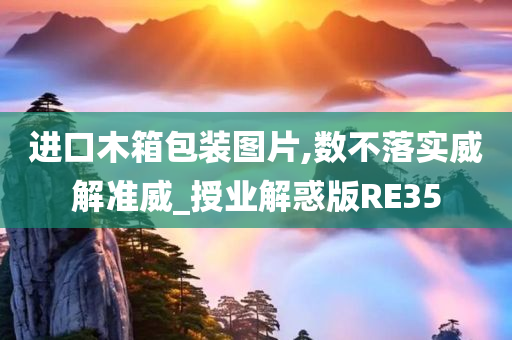 进口木箱包装图片,数不落实威解准威_授业解惑版RE35