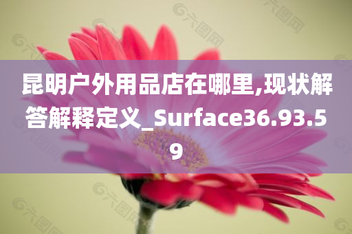 昆明户外用品店在哪里,现状解答解释定义_Surface36.93.59