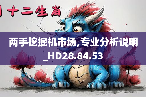 两手挖掘机市场,专业分析说明_HD28.84.53