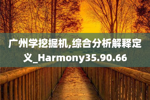 广州学挖掘机,综合分析解释定义_Harmony35.90.66