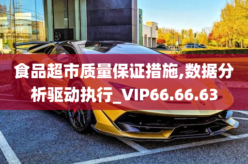 食品超市质量保证措施,数据分析驱动执行_VIP66.66.63