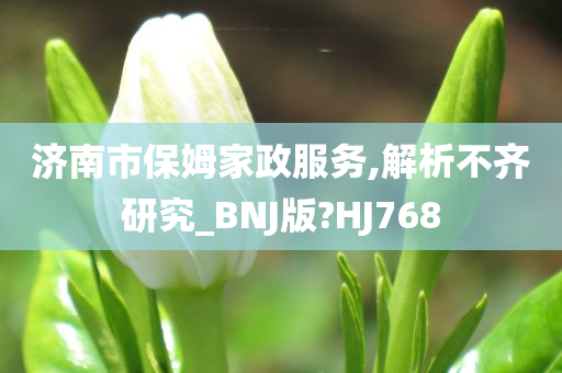 济南市保姆家政服务,解析不齐研究_BNJ版?HJ768