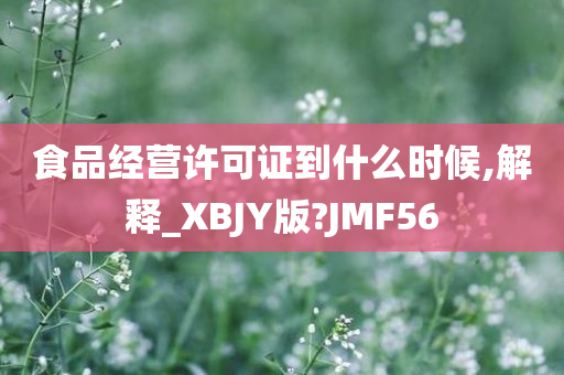 食品经营许可证到什么时候,解释_XBJY版?JMF56