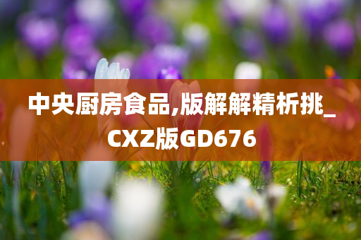 中央厨房食品,版解解精析挑_CXZ版GD676