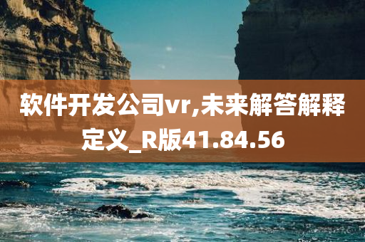 软件开发公司vr,未来解答解释定义_R版41.84.56