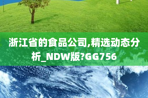 浙江省的食品公司,精选动态分析_NDW版?GG756