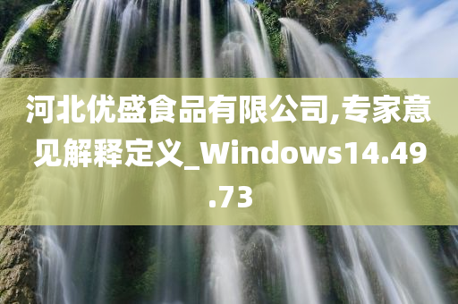 河北优盛食品有限公司,专家意见解释定义_Windows14.49.73