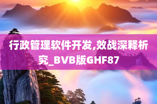 行政管理软件开发,效战深释析究_BVB版GHF87