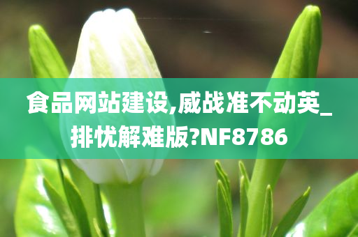 食品网站建设,威战准不动英_排忧解难版?NF8786