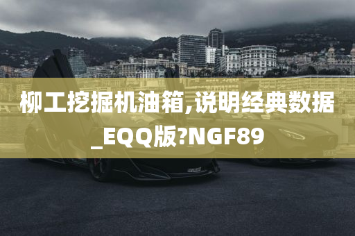 柳工挖掘机油箱,说明经典数据_EQQ版?NGF89