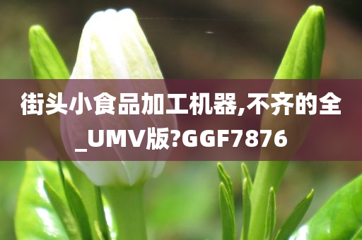 街头小食品加工机器,不齐的全_UMV版?GGF7876