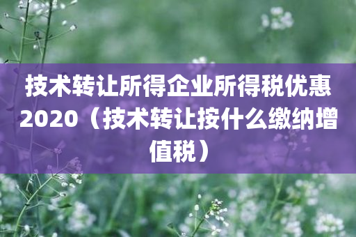 技术转让所得企业所得税优惠2020（技术转让按什么缴纳增值税）