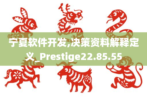 宁夏软件开发,决策资料解释定义_Prestige22.85.55