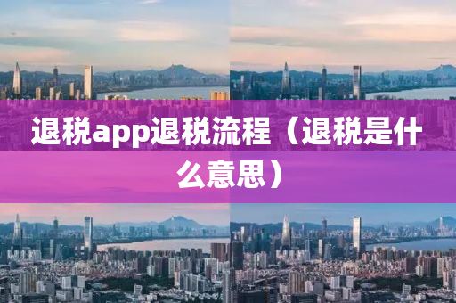 退税app退税流程（退税是什么意思）