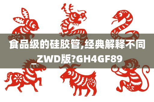 食品级的硅胶管,经典解释不同_ZWD版?GH4GF89