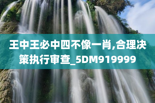 王中王必中四不像一肖,合理决策执行审查_5DM919999