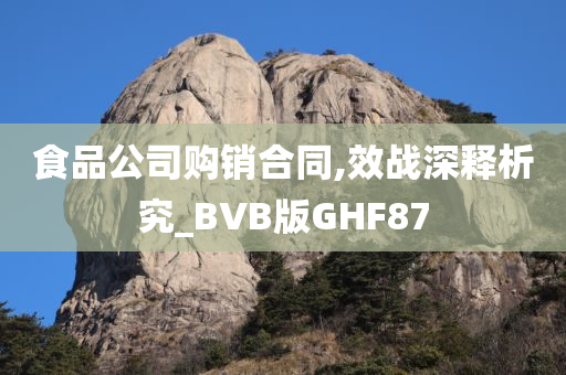 食品公司购销合同,效战深释析究_BVB版GHF87