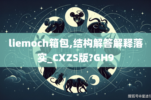 liemoch箱包,结构解答解释落实_CXZS版?GH9