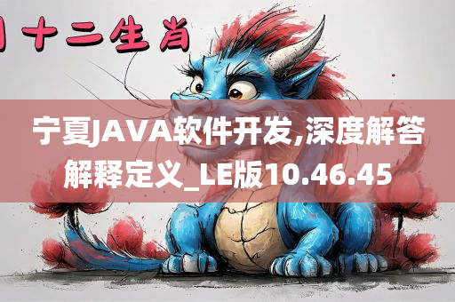 宁夏JAVA软件开发,深度解答解释定义_LE版10.46.45