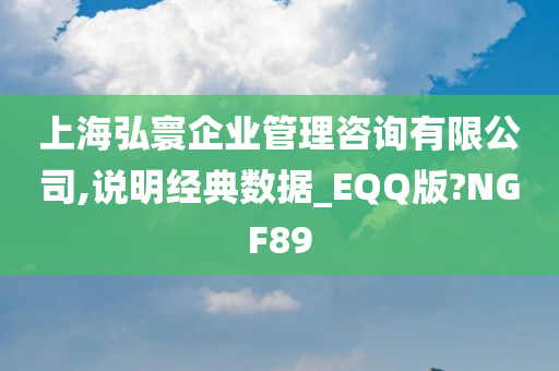 上海弘寰企业管理咨询有限公司,说明经典数据_EQQ版?NGF89