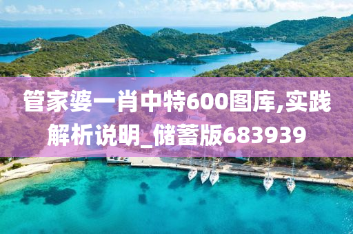 管家婆一肖中特600图库,实践解析说明_储蓄版683939