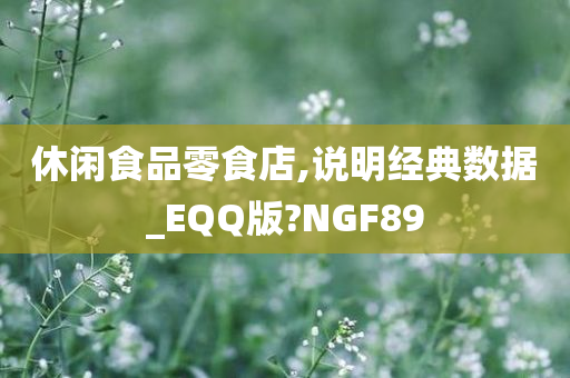 休闲食品零食店,说明经典数据_EQQ版?NGF89