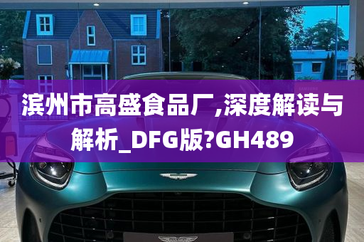 滨州市高盛食品厂,深度解读与解析_DFG版?GH489