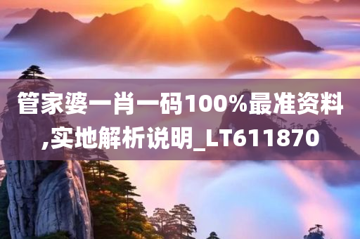 管家婆一肖一码100%最准资料,实地解析说明_LT611870