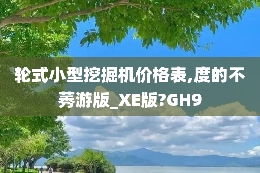 轮式小型挖掘机价格表,度的不莠游版_XE版?GH9