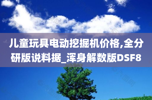 儿童玩具电动挖掘机价格,全分研版说料据_浑身解数版DSF8